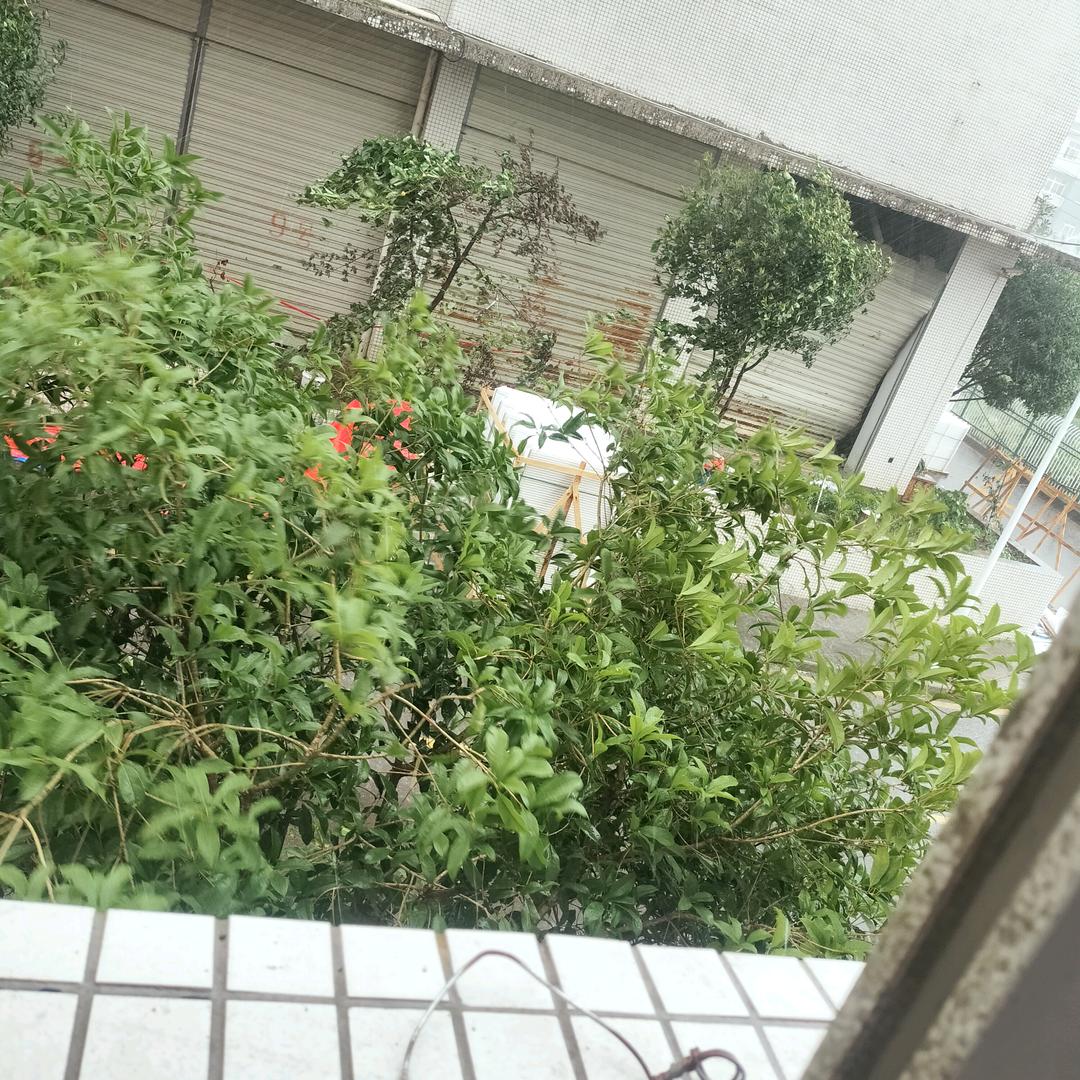 蒸蒸日上
