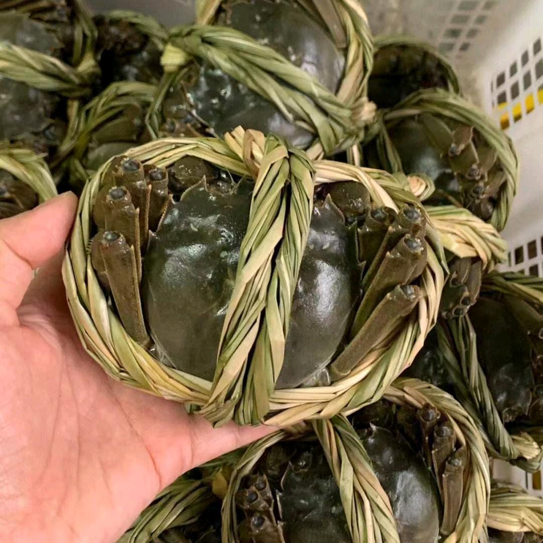 澄居大闸蟹甄选