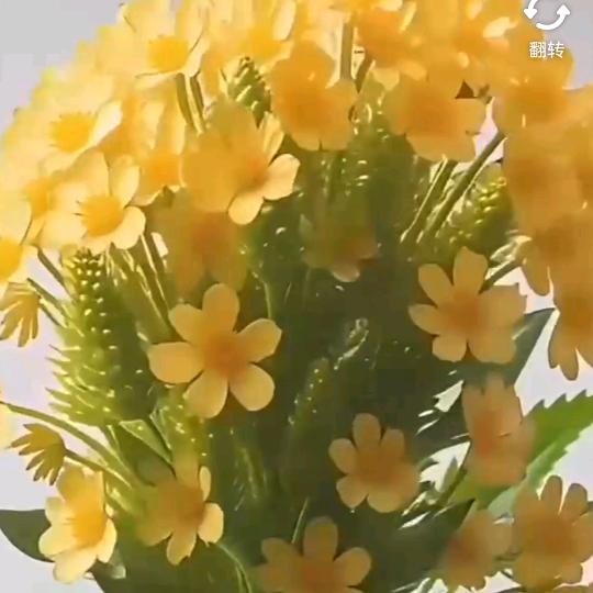 小柒