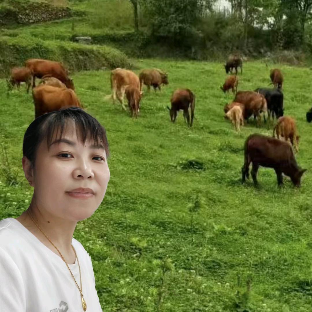 银萍姐