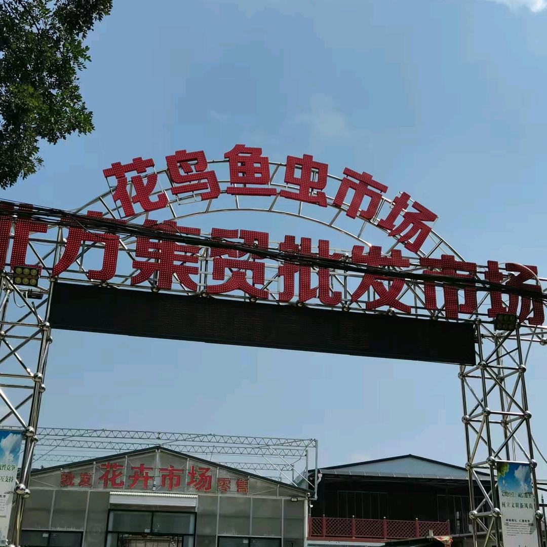 宣化北方绿植园艺