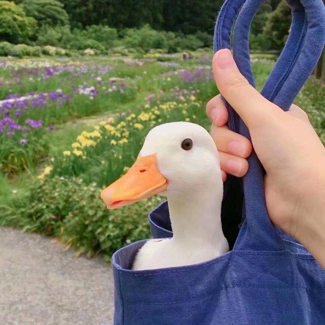 开旅行的X.