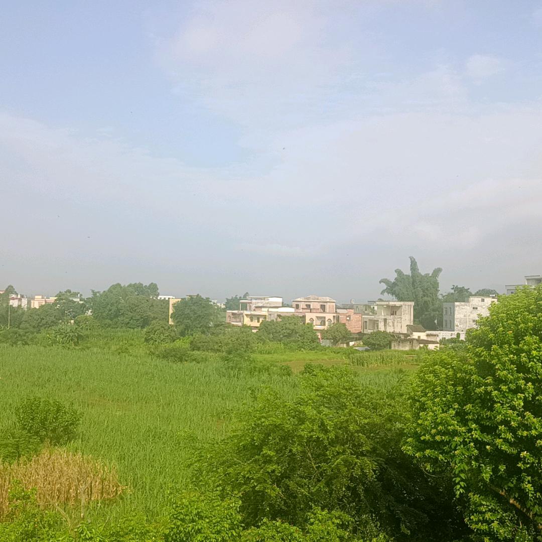 开心最好🌹🌹🌹