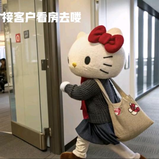 卖房的大乔与小乔