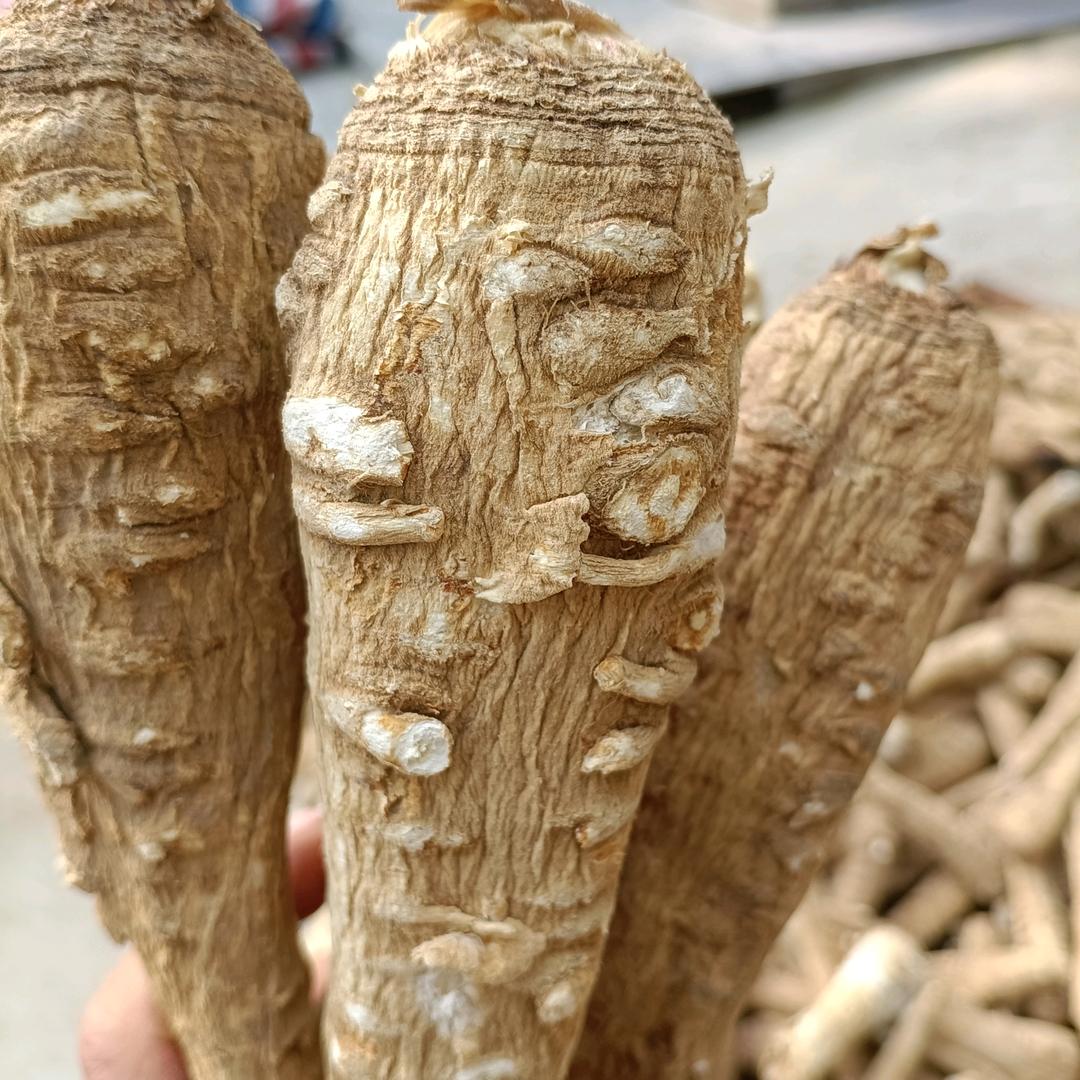 亳州市谯城区夫利电动车经营部