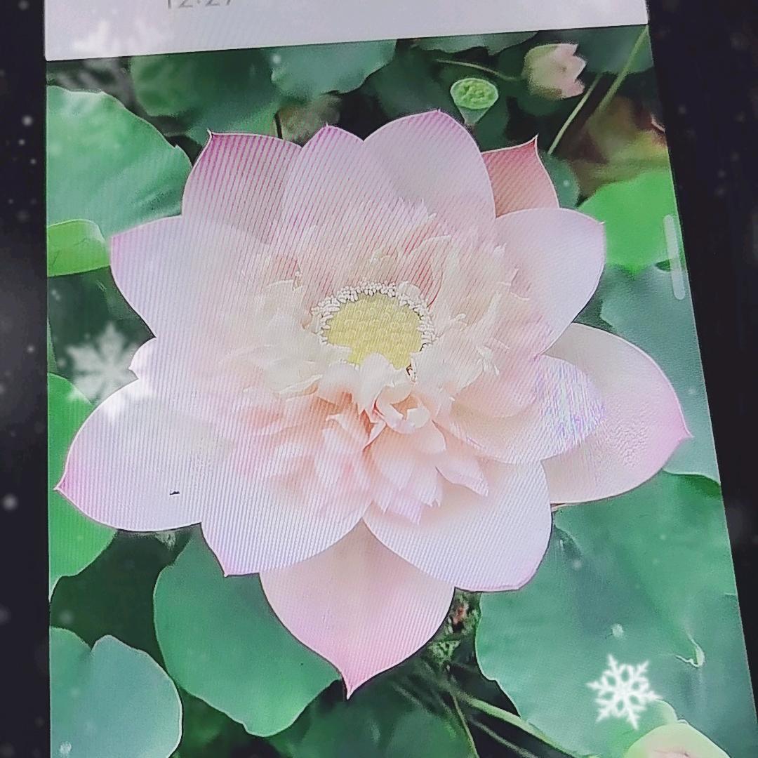 用户909120891718