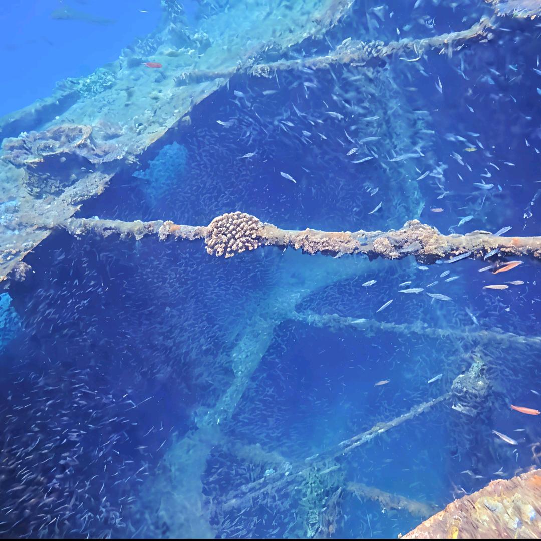 供亿游泳健身_野渡