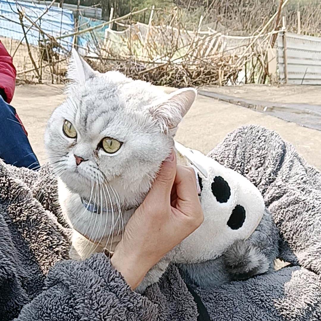 ㅤ寻找远方的知己ㅤㅤ ㅤㅤ