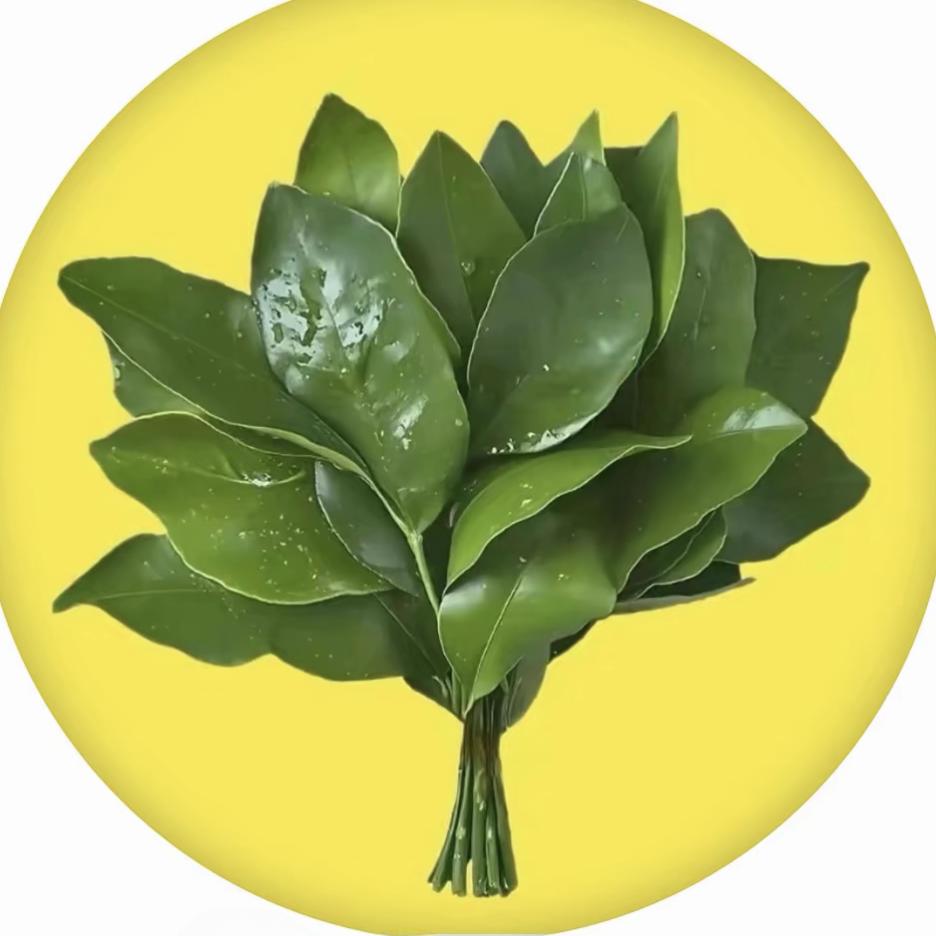 ℘㞮᭄ᩚ꯭ᩚ꧔ꦿ孞᭄: ꧔ꦿ℘❤️