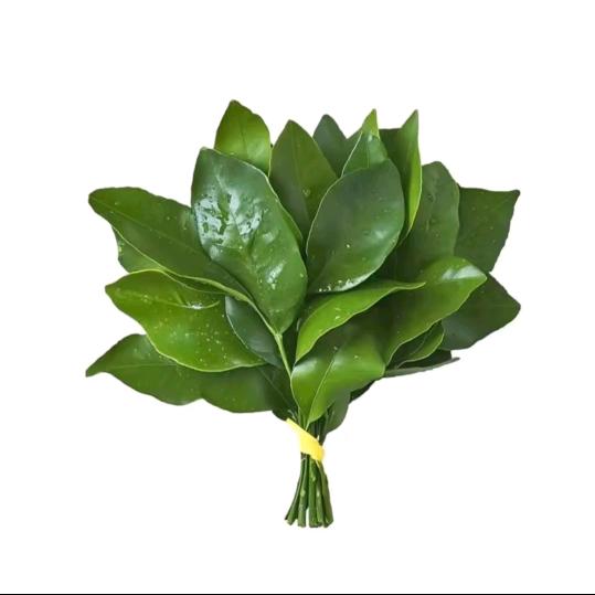 菠萝好吃吗