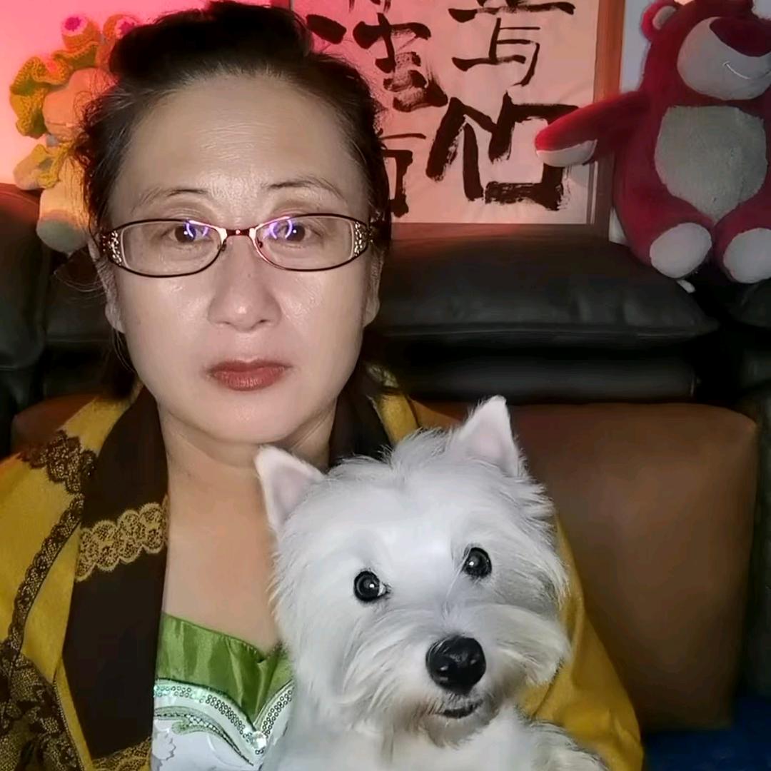 孙姐的西高地