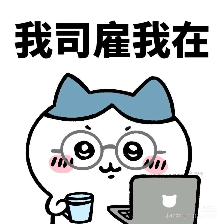 小云(大学创业版)