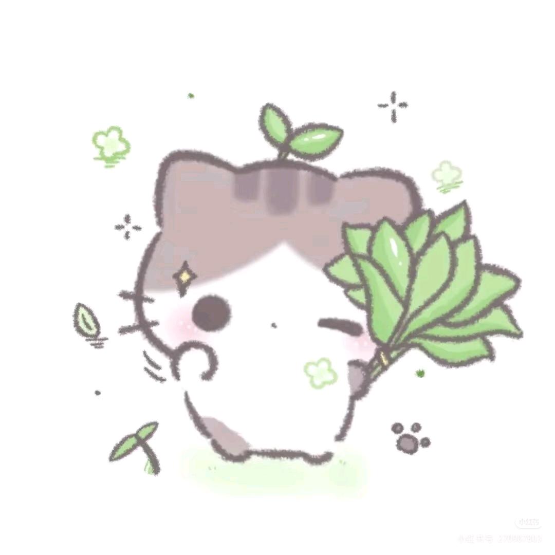 每天都好困π_π