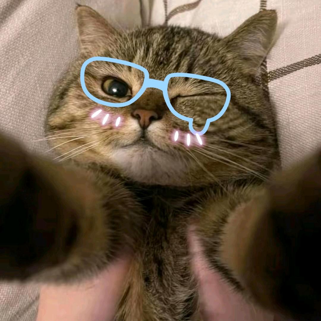 为啥不吃