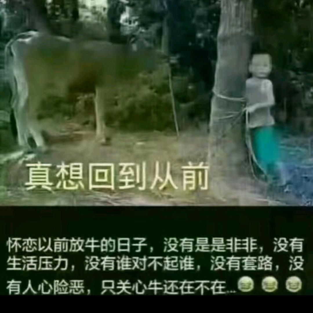 错了改