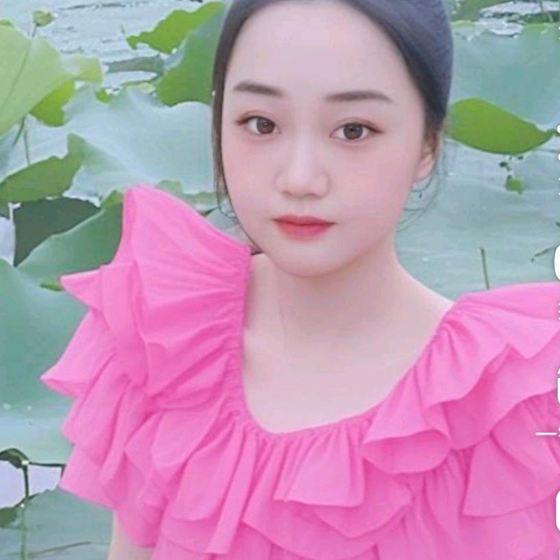 云宝