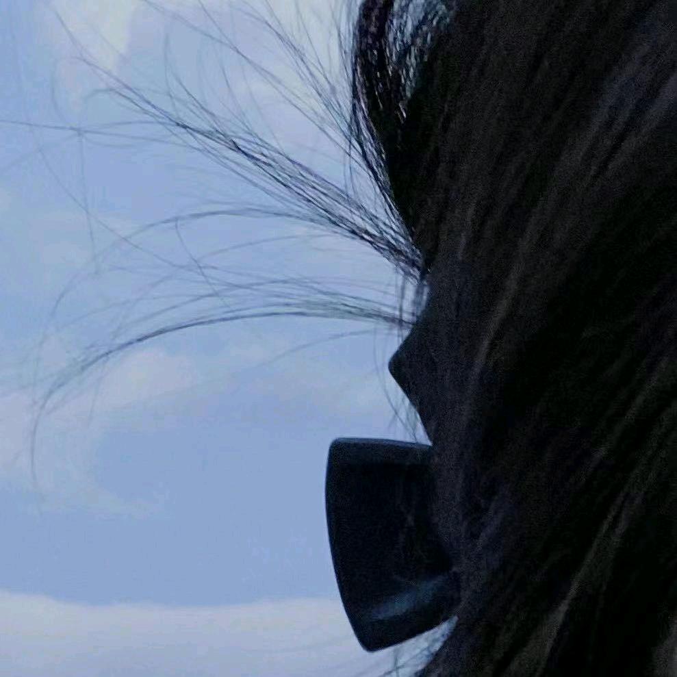 情敌（地铁逃生）