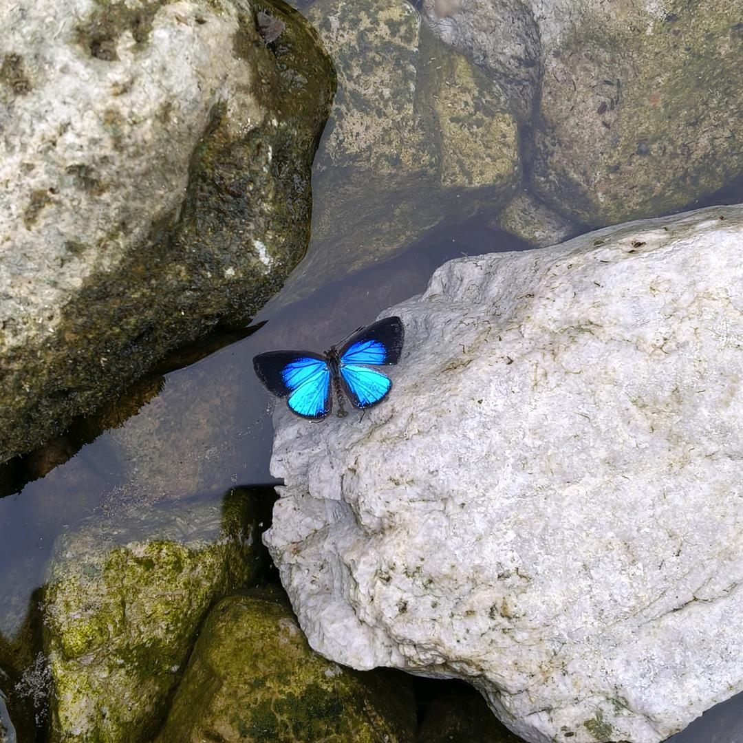 湾