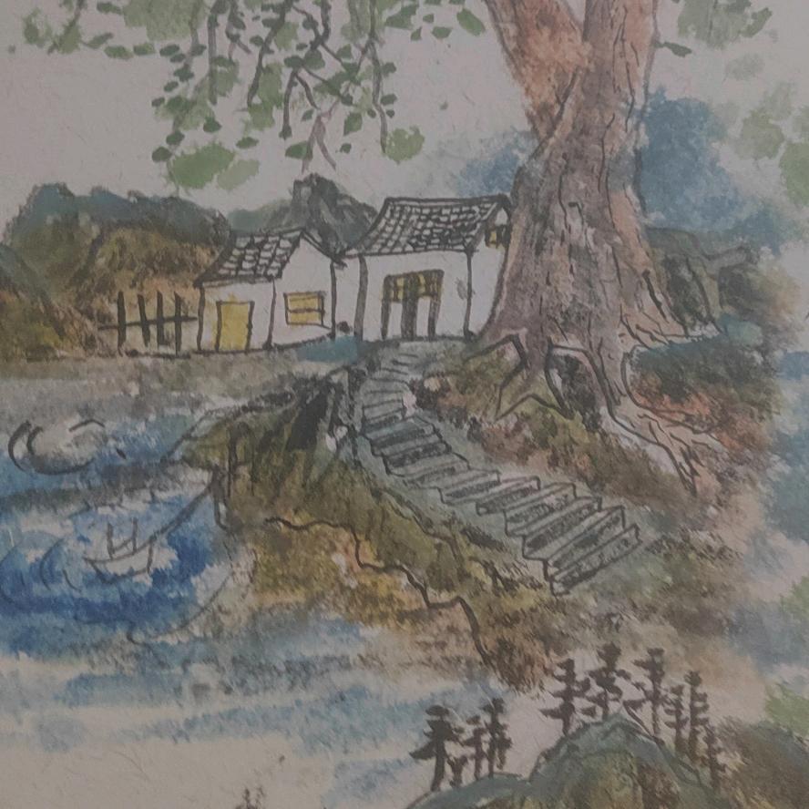 舒