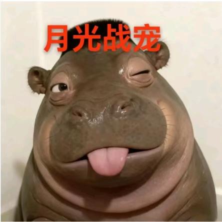 秋最丑
