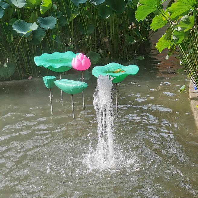 💖₅²⁰楚心ོ良肖ོ¹ᶟ₁₄