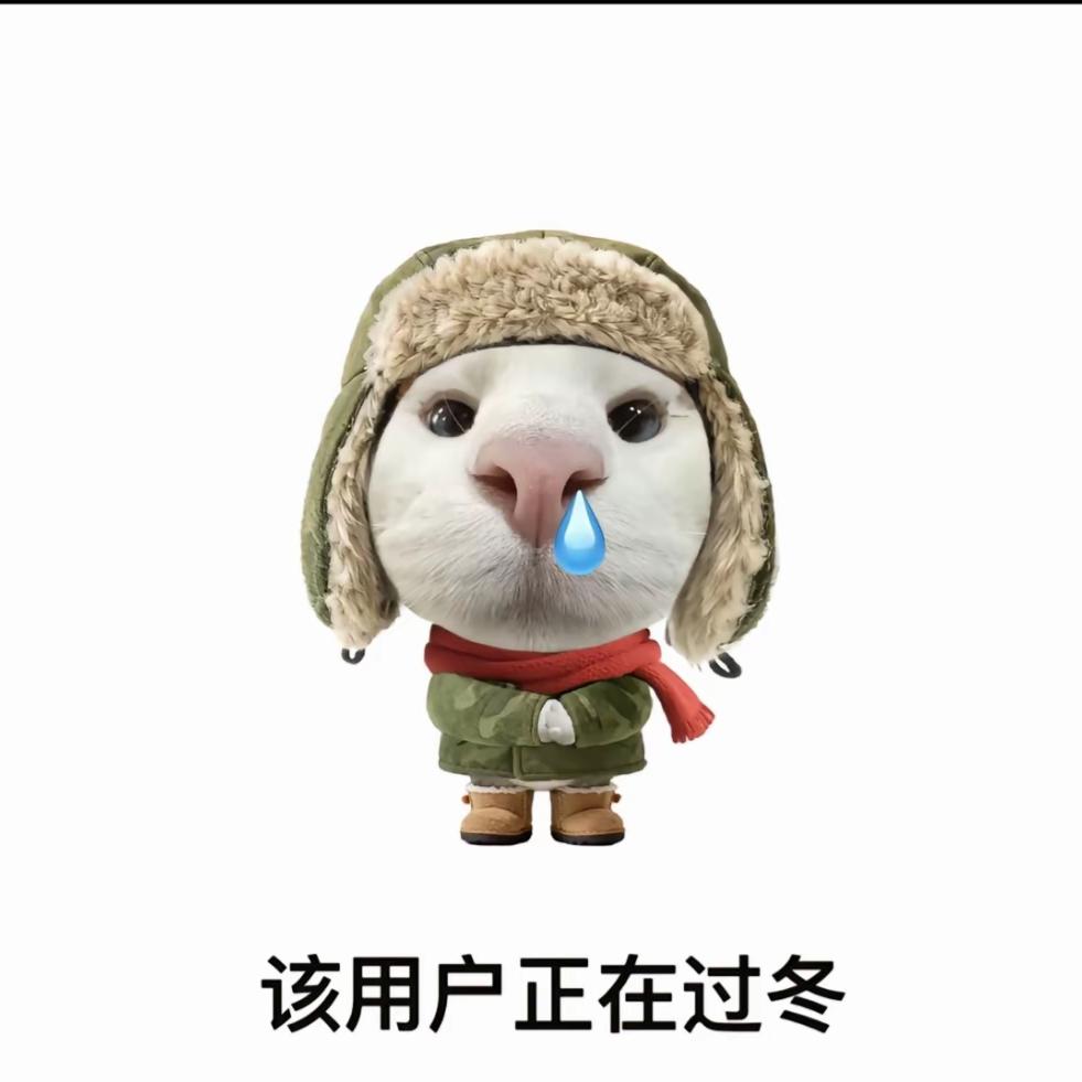 姜姜。