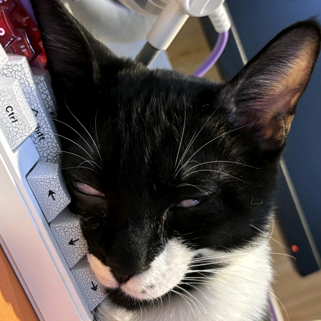 皮蛋（三角洲行动））