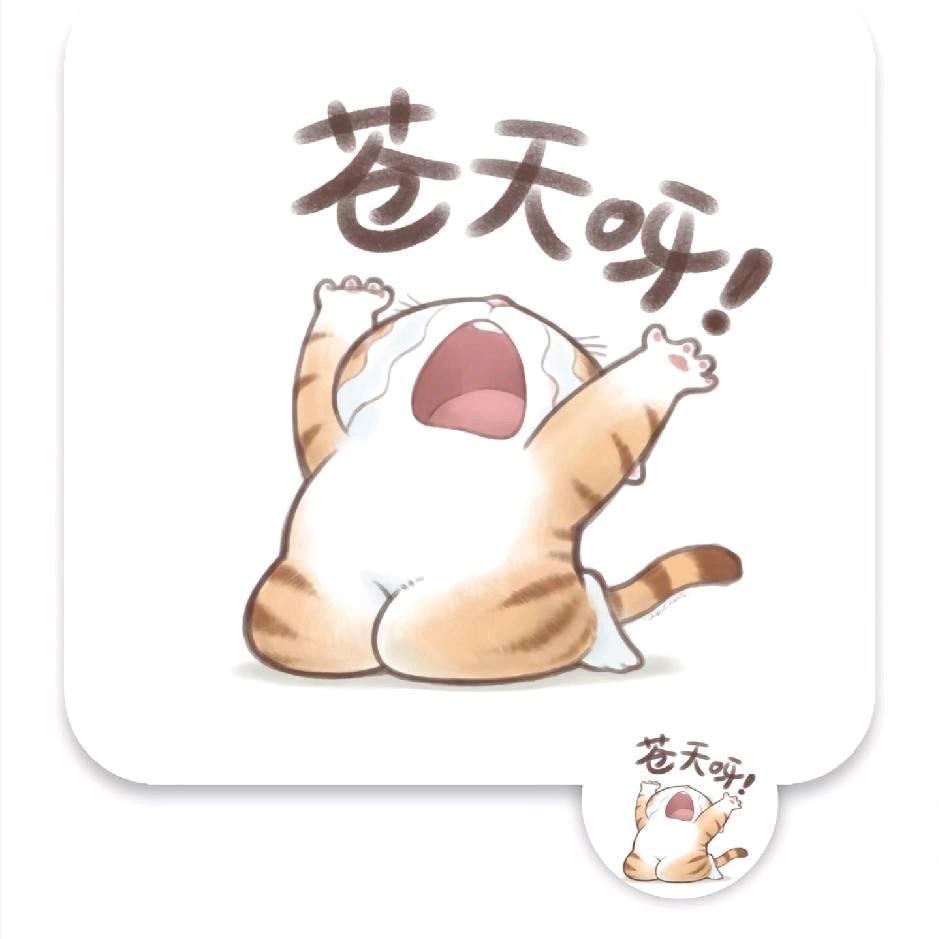 汪汪队立大功～