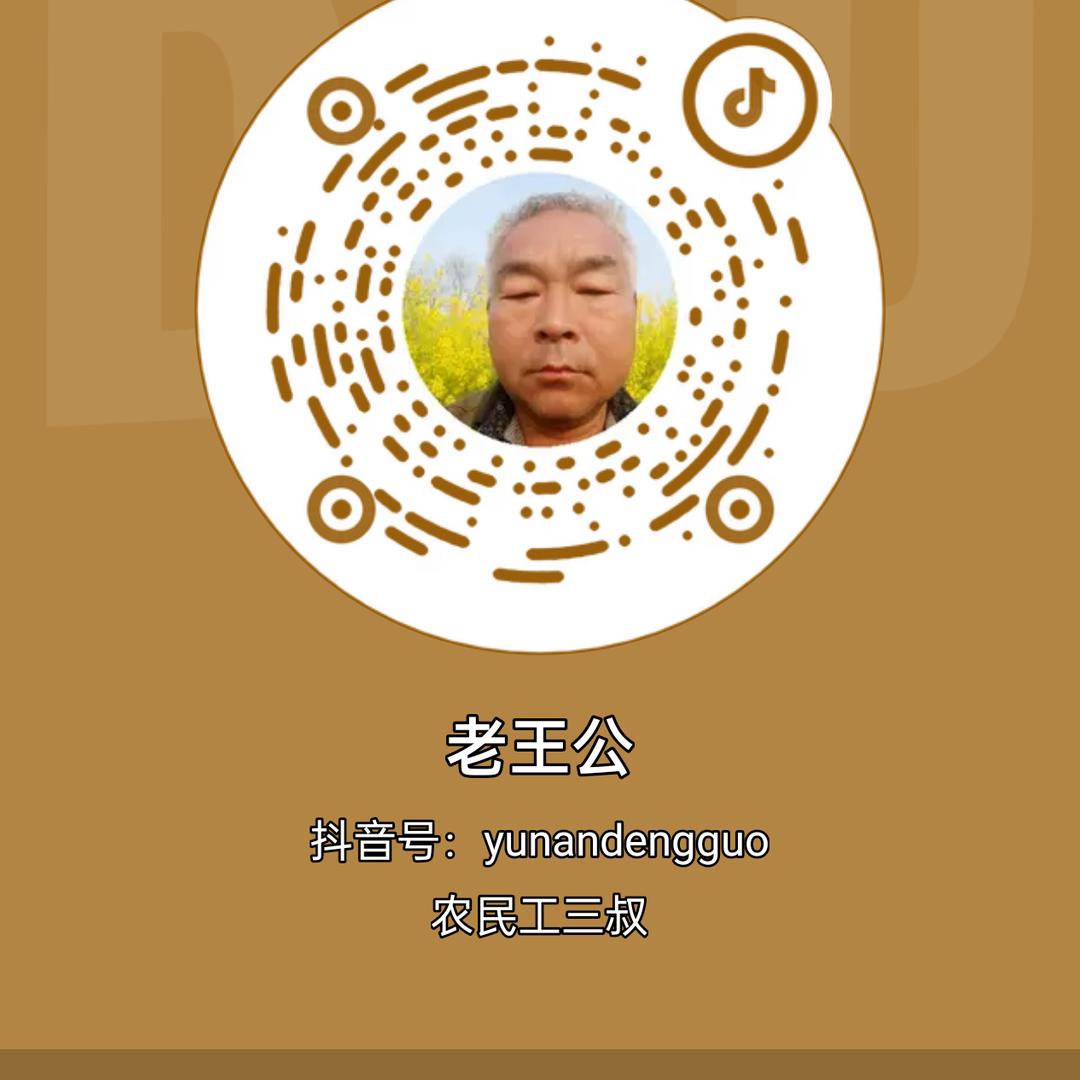 老王公