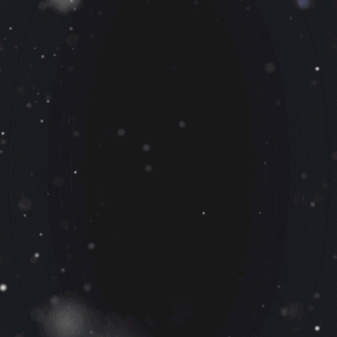🌚