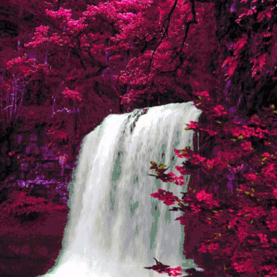 酸酸甜甜[null]💏🙇