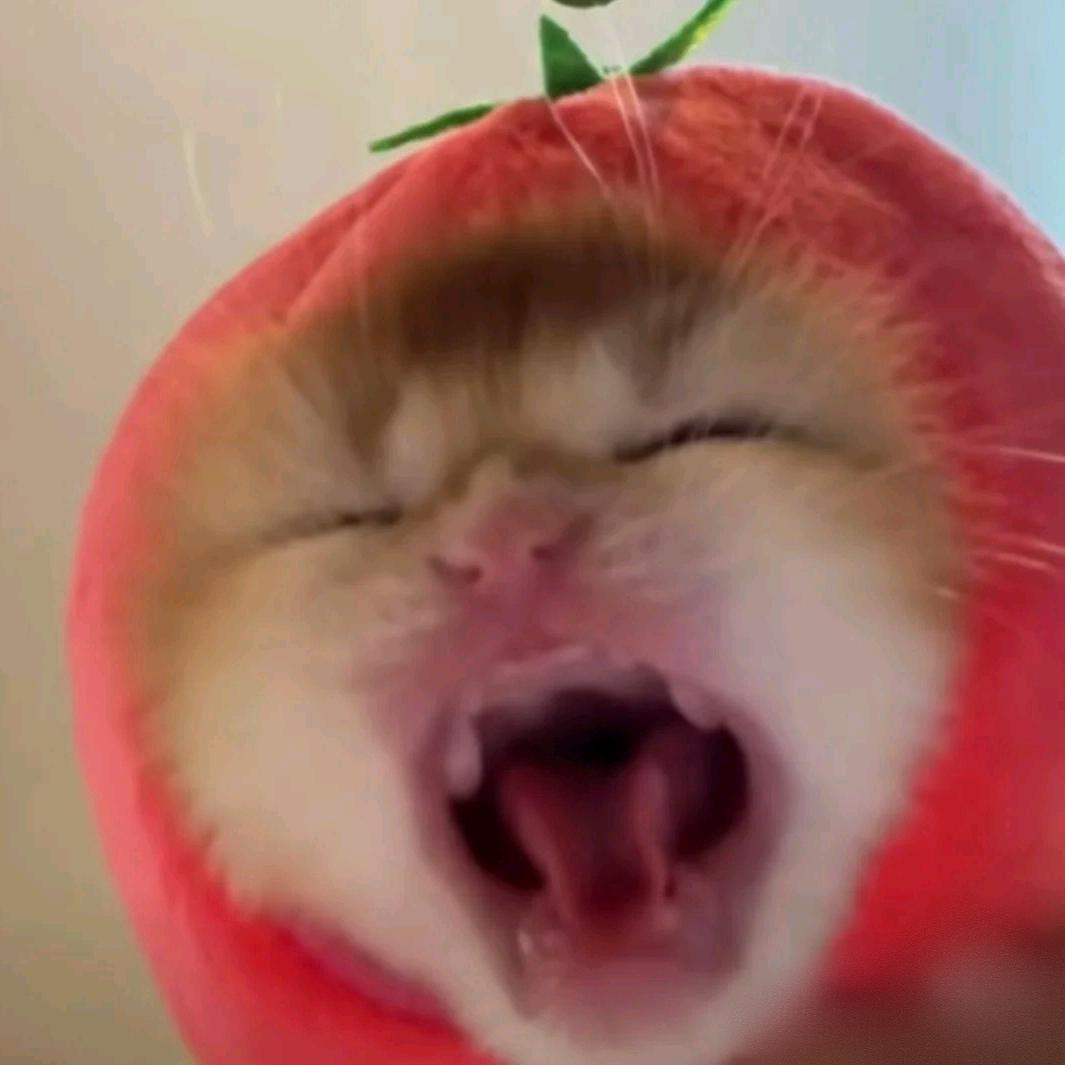 狗姐姐