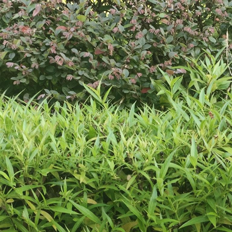 平平安一生一一丷/安