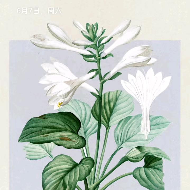 花草