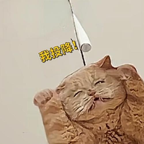 知 愿