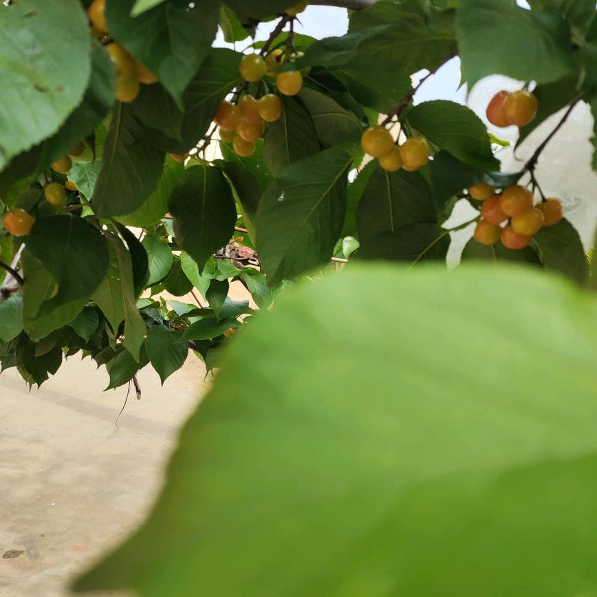 ❤️不再期待❤️