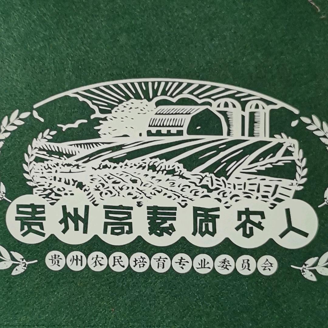 友黔🐱