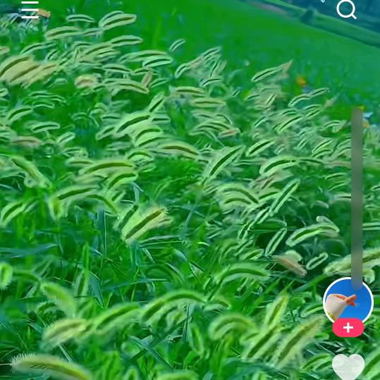 小张资源二手批发