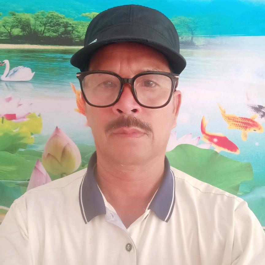 会唱的歌
