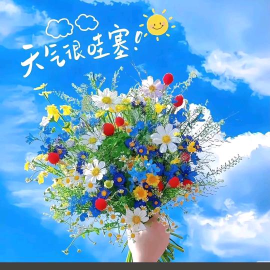 晴空物语