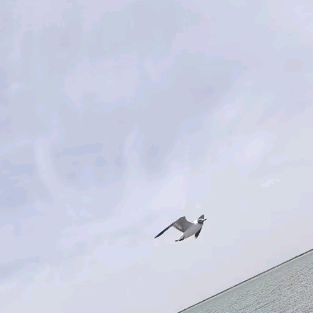 翔翔妈