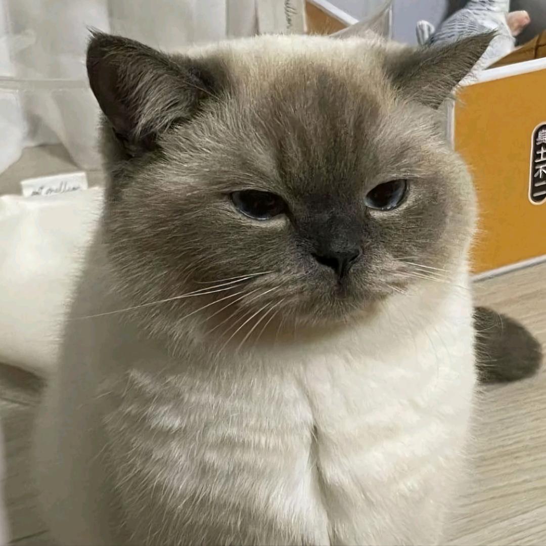 春断花