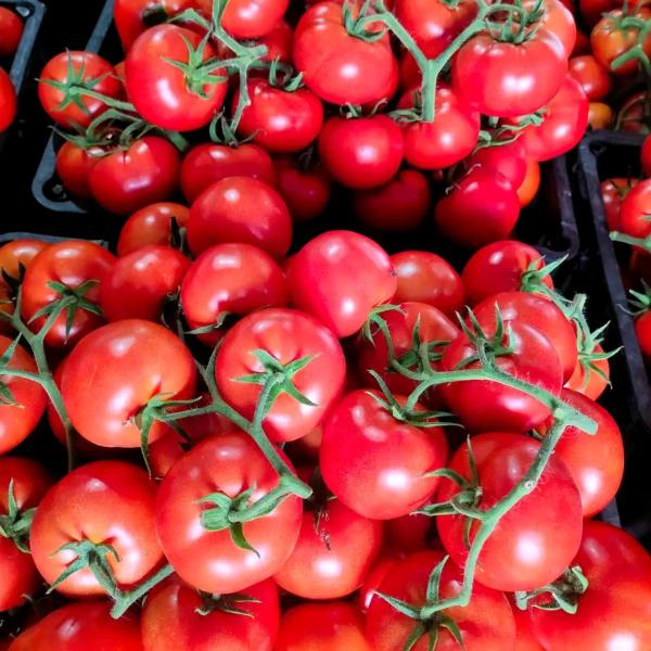 蓝天白云1389929881