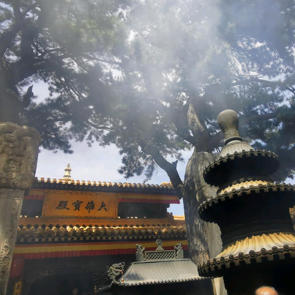 工程资质-龙展建设 日月明