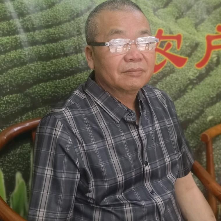 小杨