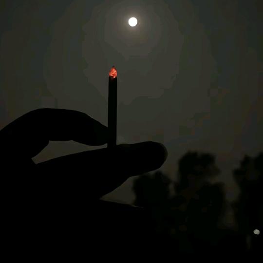 ᭄🕊࿐ꦿ٭ꦿ余生🦋᭄໊随💞ᩚ心