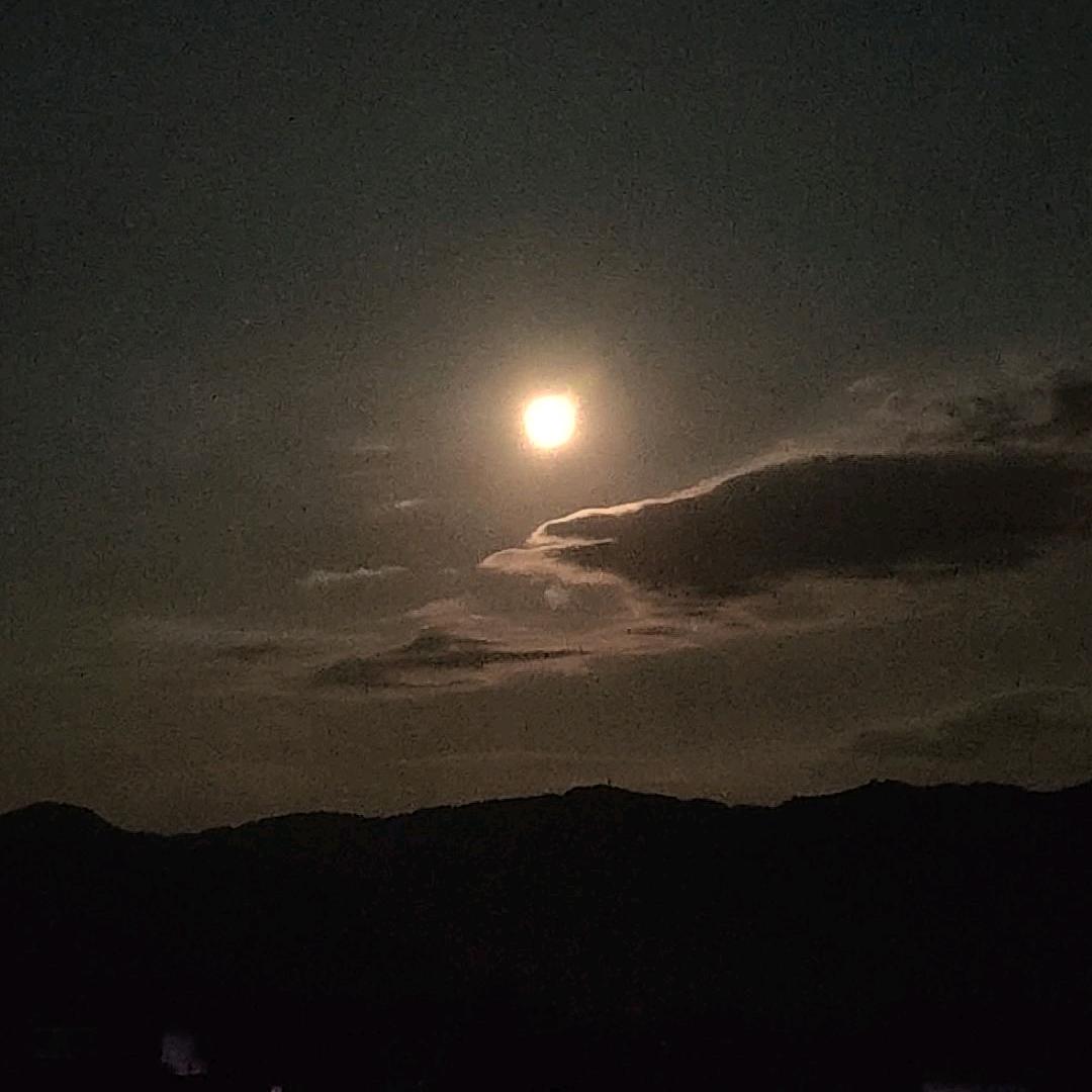 💞ঞ大不了᭄㇏ഒᩚ࿐