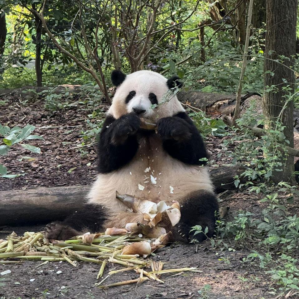 涛    涛