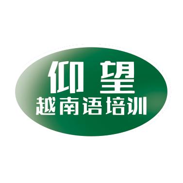 仰望越南语陈老师