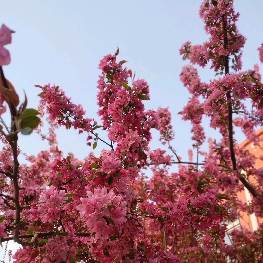 欢欢《拒绝私聊》